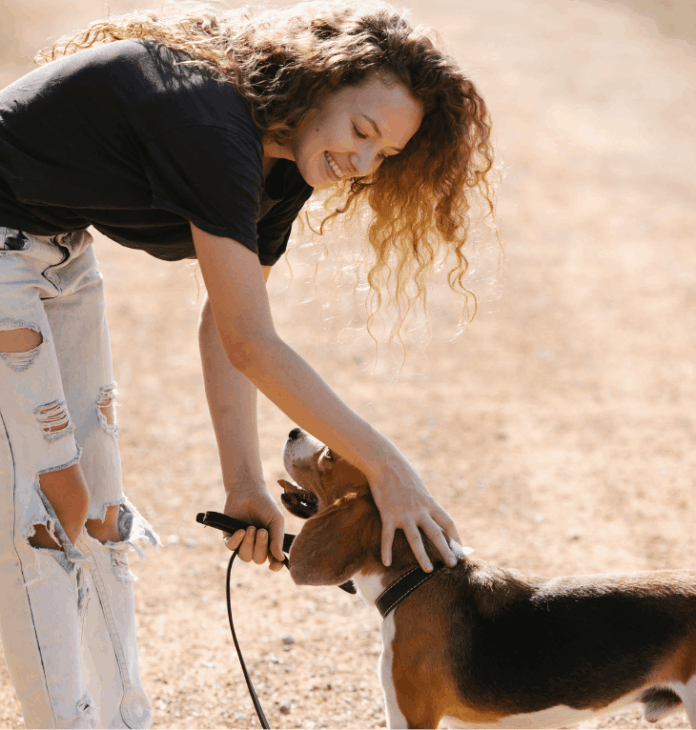 Shop for personalized collars